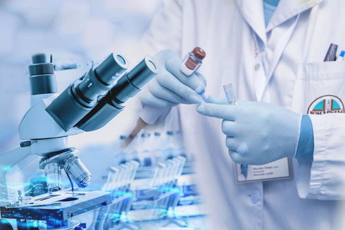 半导体产业全面指南 供应商、制造商与技术服务资源汇总