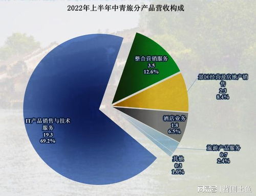 疫情下中青旅的财报分析与后续发展准备